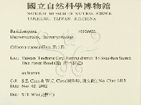 登錄號:F0026622藏品圖，第2張