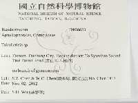 登錄號:F0026623藏品圖，第2張