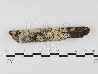 登錄號:F0026624藏品圖，第1張