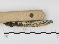 登錄號:F0026624藏品圖，第3張