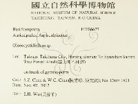 登錄號:F0026627藏品圖，第2張