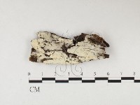 登錄號:F0026627藏品圖，第3張