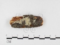 登錄號:F0026628藏品圖，第1張