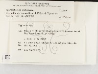 登錄號:F0026629藏品圖，第2張