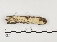 登錄號:F0026629藏品圖，第1張