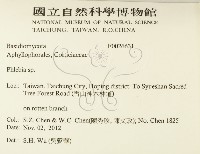 射脈菌屬藏品圖，第2張