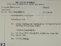 薄孔菌屬藏品圖，第2張