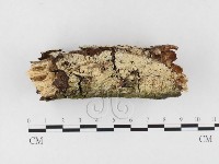 登錄號:F0026633藏品圖，第1張