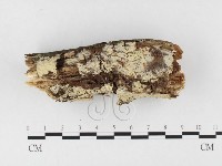 登錄號:F0026633藏品圖，第3張