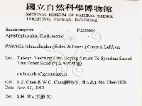 登錄號:F0026634藏品圖，第2張