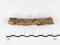 登錄號:F0026634藏品圖，第1張