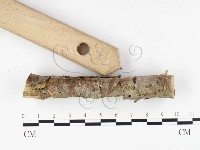 登錄號:F0026634藏品圖，第3張