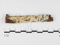 登錄號:F0026635藏品圖，第1張