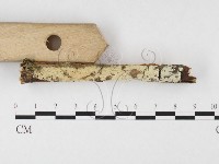 登錄號:F0026635藏品圖，第3張