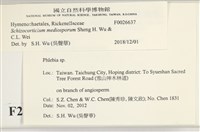 登錄號:F0026637藏品圖，第4張