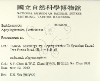 孔韌菌屬藏品圖，第2張