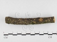 登錄號:F0026639藏品圖，第1張