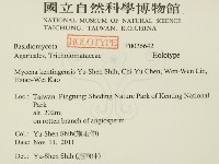 墾丁小菇藏品圖，第2張