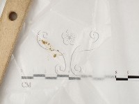 墾丁小菇藏品圖，第1張