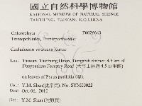 登錄號:F0026643藏品圖，第2張