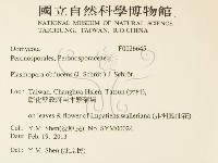 登錄號:F0026645藏品圖，第2張
