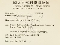 登錄號:F0026646藏品圖，第2張