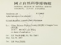 登錄號:F0026648藏品圖，第2張