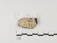 登錄號:F0026648藏品圖，第1張