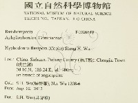 登錄號:F0026649藏品圖，第2張