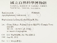 登錄號:F0026650藏品圖，第2張