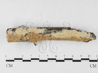 登錄號:F0026650藏品圖，第1張