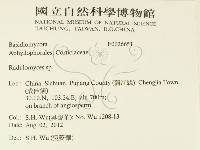 登錄號:F0026651藏品圖，第2張