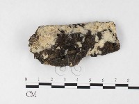 登錄號:F0026651藏品圖，第1張