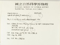 登錄號:F0026653藏品圖，第2張