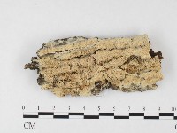 登錄號:F0026653藏品圖，第1張