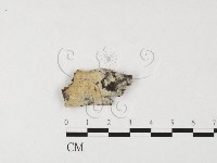 登錄號:F0026654藏品圖，第1張