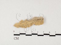 登錄號:F0026655藏品圖，第1張