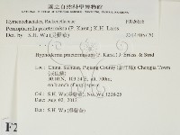 登錄號:F0026656藏品圖，第2張