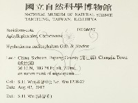 登錄號:F0026657藏品圖，第2張