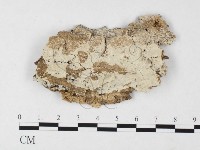 登錄號:F0026657藏品圖，第1張