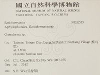 登錄號:F0026659藏品圖，第2張