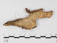 登錄號:F0026660藏品圖，第1張