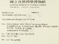 登錄號:F0026661藏品圖，第2張