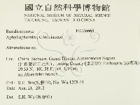 盤革菌屬藏品圖，第2張