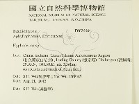 絲皮菌屬藏品圖，第2張