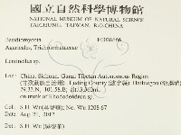 登錄號:F0026666藏品圖，第2張