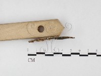 登錄號:F0026666藏品圖，第3張