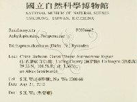 登錄號:F0026667藏品圖，第2張