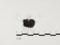 登錄號:F0026668藏品圖，第3張