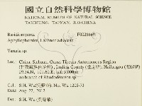 登錄號:F0026669藏品圖，第2張